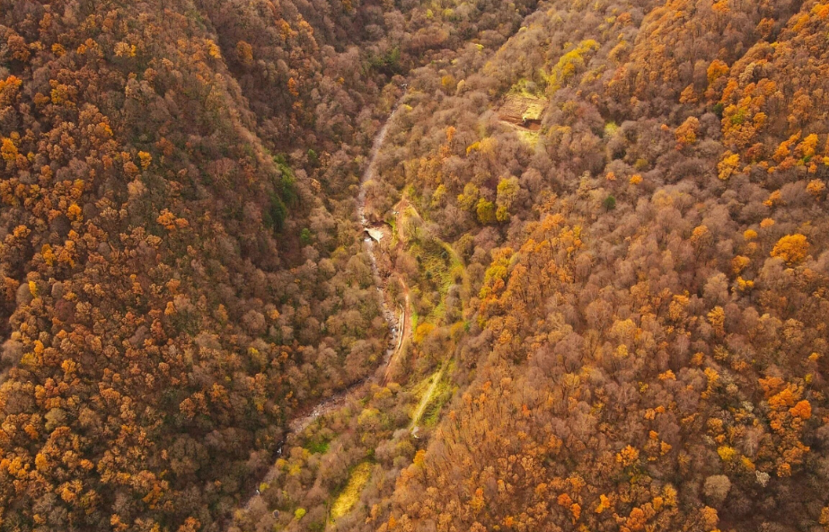 六盘山国家森林公园 六盘山国家森林公园
