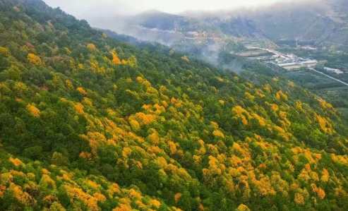 /uploads/image/2025/10/10/e40f98e77be62ba23b45e4c33626a2d8.png /uploads/image/2025/10/10/e40f98e77be62ba23b45e4c33626a2d8.png