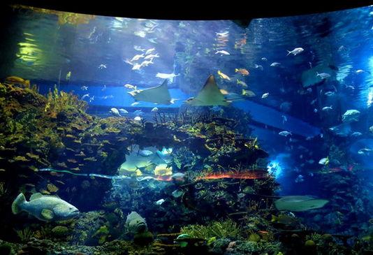 /uploads/image/2025/10/10/ca2af389a78f815ef8065fc1deef5b3c.png