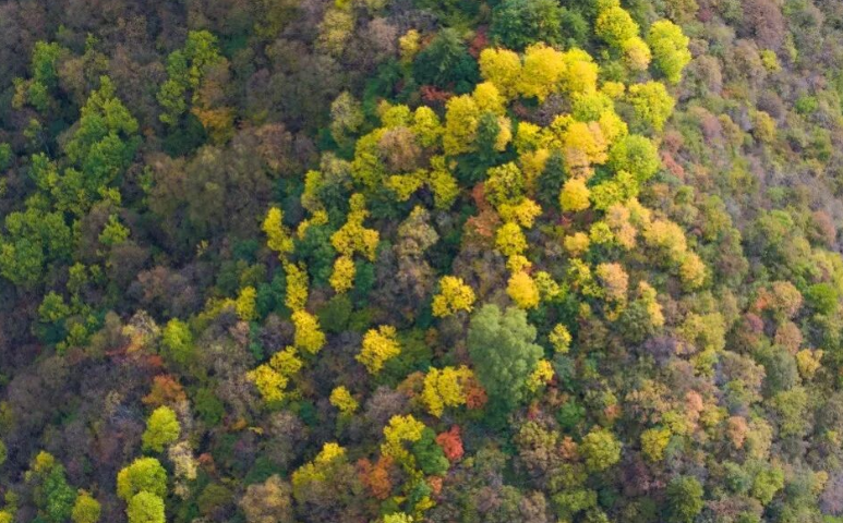 /uploads/image/2025/10/10/e0a1bd9a4f6ecaedc0902ceb63d2f1bd.png /uploads/image/2025/10/10/e0a1bd9a4f6ecaedc0902ceb63d2f1bd.png