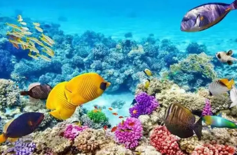 邯郸海洋世界