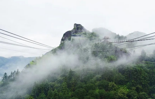 /uploads/image/2025/10/11/c14a57130609142009e9f0aa1fa393de.png /uploads/image/2025/10/11/c14a57130609142009e9f0aa1fa393de.png