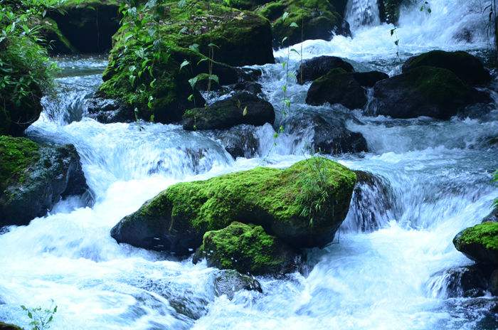 /uploads/image/2025/10/11/c4d0c0179233a6151360591a354ccc60.jpg /uploads/image/2025/10/11/c4d0c0179233a6151360591a354ccc60.jpg