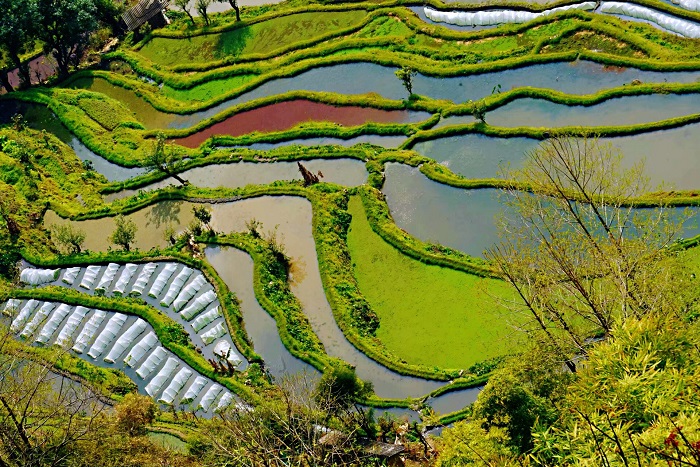 红河老虎嘴梯田