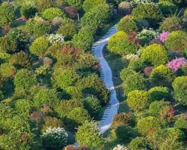 /uploads/image/2025/10/13/5cb0707e58b87ee8ba1c4b3844859749.png /uploads/image/2025/10/13/5cb0707e58b87ee8ba1c4b3844859749.png