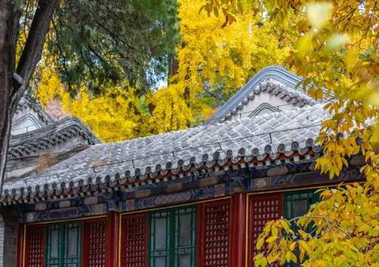 /uploads/image/2025/10/14/2bdb592ad002e06d83b85e71f1158d83.png /uploads/image/2025/10/14/2bdb592ad002e06d83b85e71f1158d83.png