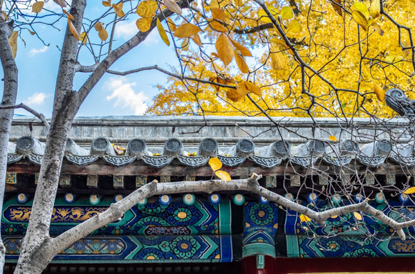 /uploads/image/2025/10/14/210ee683eb1c01a70a0d7a0730095ca3.png /uploads/image/2025/10/14/210ee683eb1c01a70a0d7a0730095ca3.png