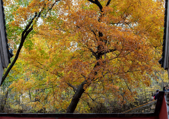 /uploads/image/2025/10/14/249b679c6c8f80dd57916e11f64b1325.png /uploads/image/2025/10/14/249b679c6c8f80dd57916e11f64b1325.png