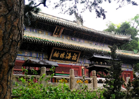 /uploads/image/2025/10/14/e9c52a5e1c4a12e437452caee0b8c08a.png /uploads/image/2025/10/14/e9c52a5e1c4a12e437452caee0b8c08a.png