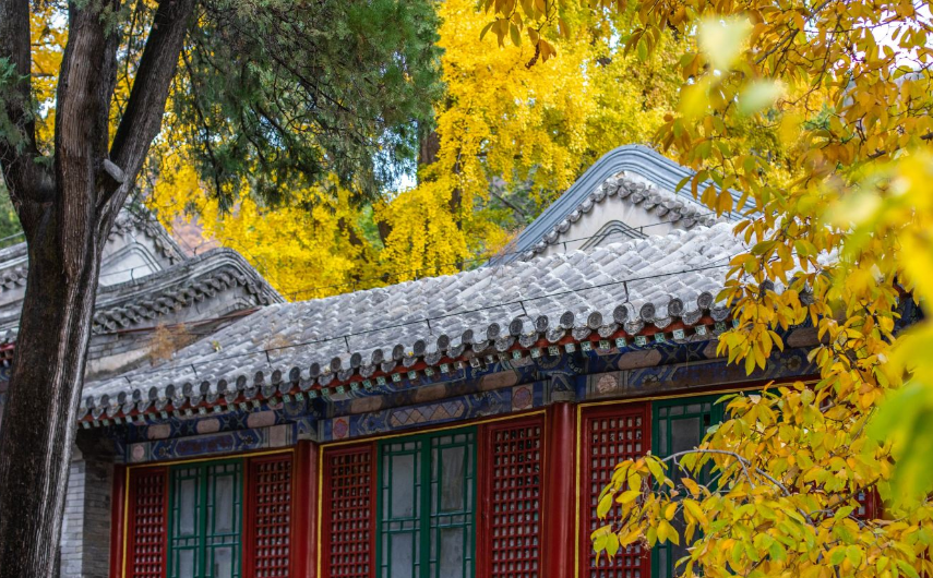 /uploads/image/2025/10/14/dfe7c28ad2f5ed9edb35ddedeff3649c.png /uploads/image/2025/10/14/dfe7c28ad2f5ed9edb35ddedeff3649c.png