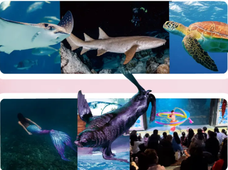 /uploads/image/2025/10/14/3a156893036a1192aec34c848e2ca26f.png /uploads/image/2025/10/14/3a156893036a1192aec34c848e2ca26f.png