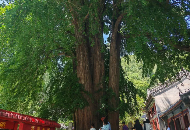 北京潭柘寺 北京潭柘寺