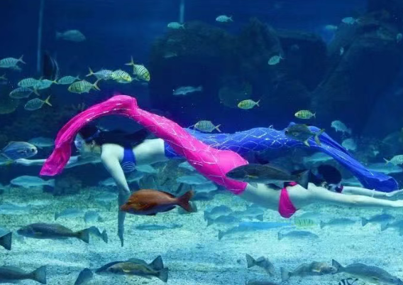 石家庄海洋公园 石家庄海洋公园