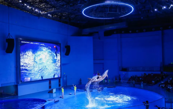 温州极地海洋世界 温州极地海洋世界