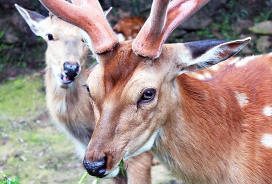 /uploads/image/2025/10/15/25e75083dddd83a6adb11343d76f42c3.png /uploads/image/2025/10/15/25e75083dddd83a6adb11343d76f42c3.png