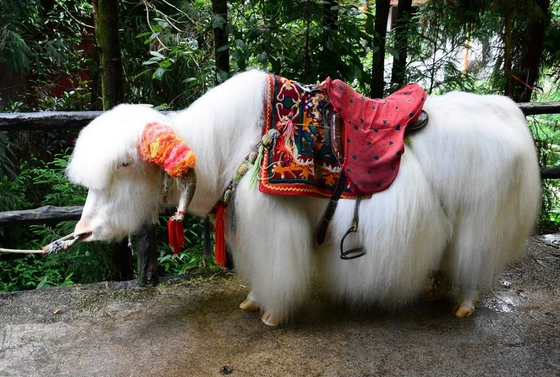 /uploads/image/2025/10/15/1f4ed08442f864ead3909679fa3f2c42.png /uploads/image/2025/10/15/1f4ed08442f864ead3909679fa3f2c42.png