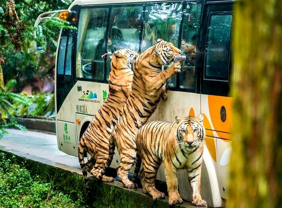 /uploads/image/2025/10/15/ceb629e25e223dc85edab629dfba758d.png /uploads/image/2025/10/15/ceb629e25e223dc85edab629dfba758d.png