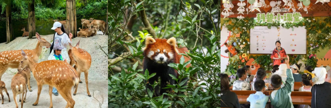 碧峰峡野生动物世界 碧峰峡野生动物世界