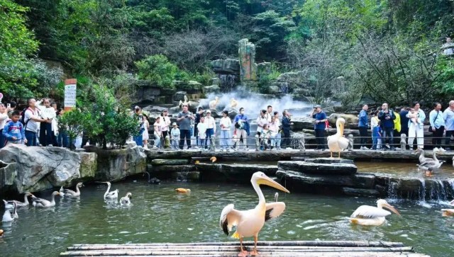 碧峰峡野生动物世界 碧峰峡野生动物世界