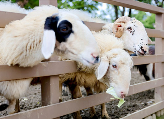 /uploads/image/2025/10/15/2260d5d42b8125f033ae4df1eb803055.png /uploads/image/2025/10/15/2260d5d42b8125f033ae4df1eb803055.png