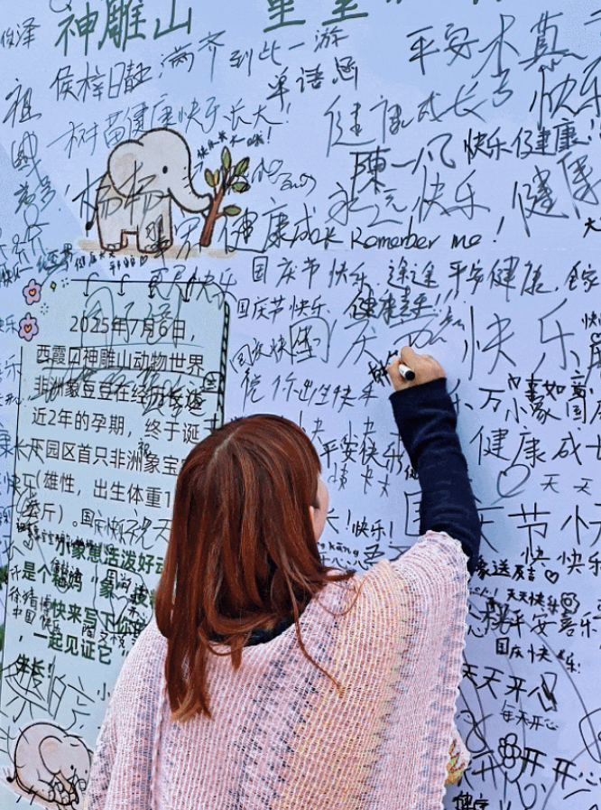 西霞口神雕山野生动物园