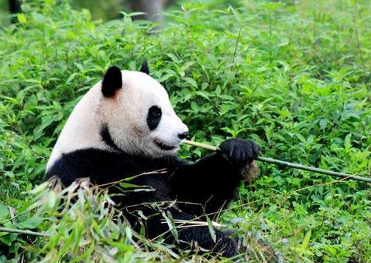 /uploads/image/2025/10/15/f971e817d1411397195b15c6587d14e0.png /uploads/image/2025/10/15/f971e817d1411397195b15c6587d14e0.png