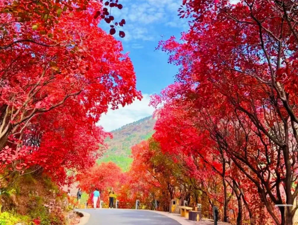 巩义长寿山风景区