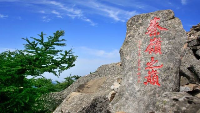 朱雀国家森林公园.jpg