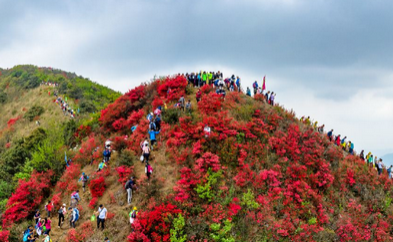 /uploads/image/2025/10/16/ad9b74b5423623613f0dcfa25f688a1f.png /uploads/image/2025/10/16/ad9b74b5423623613f0dcfa25f688a1f.png