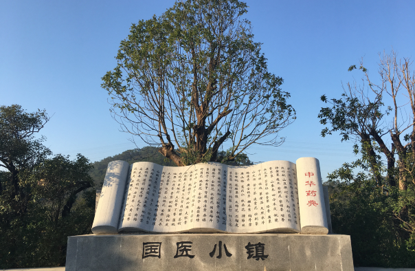 广州国医小镇 广州国医小镇
