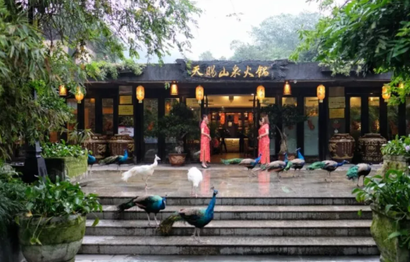 天赐华汤温泉 天赐华汤温泉