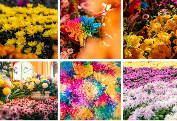 /uploads/image/2025/10/20/86c8cc39a285bbb14680481d61fce717.png /uploads/image/2025/10/20/86c8cc39a285bbb14680481d61fce717.png