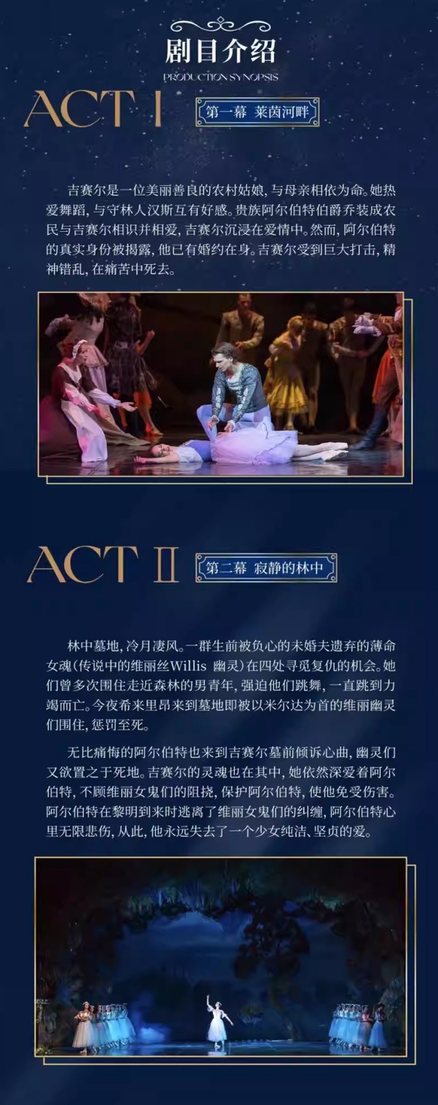 4b.jpg