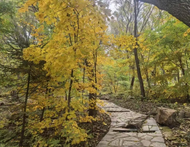 /uploads/image/2025/10/20/55ca8d345c095f2e560d962f6cef8820.png /uploads/image/2025/10/20/55ca8d345c095f2e560d962f6cef8820.png