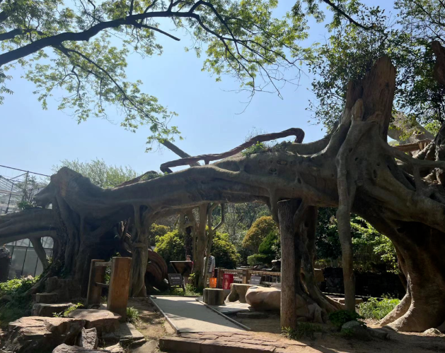 /uploads/image/2025/10/20/9e62881604b6723ec08525199279fb3c.png /uploads/image/2025/10/20/9e62881604b6723ec08525199279fb3c.png