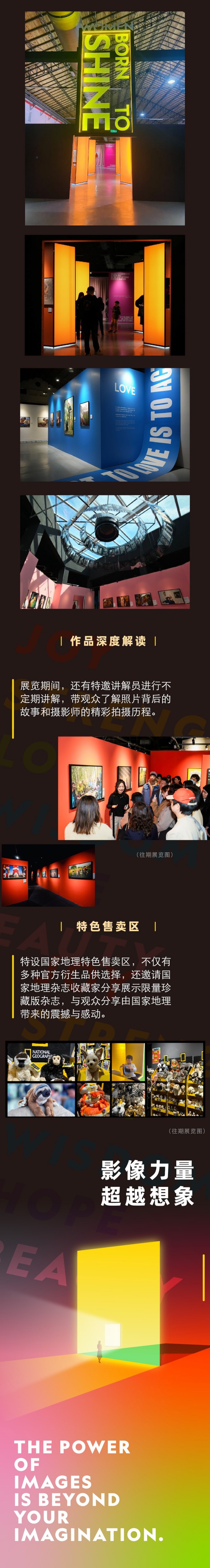详情6.jpg