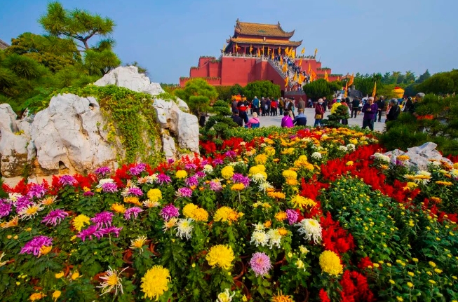 开封菊花展门票