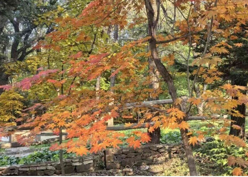 /uploads/image/2025/10/20/1bc5acb346a755b18e257979f4902c43.png /uploads/image/2025/10/20/1bc5acb346a755b18e257979f4902c43.png