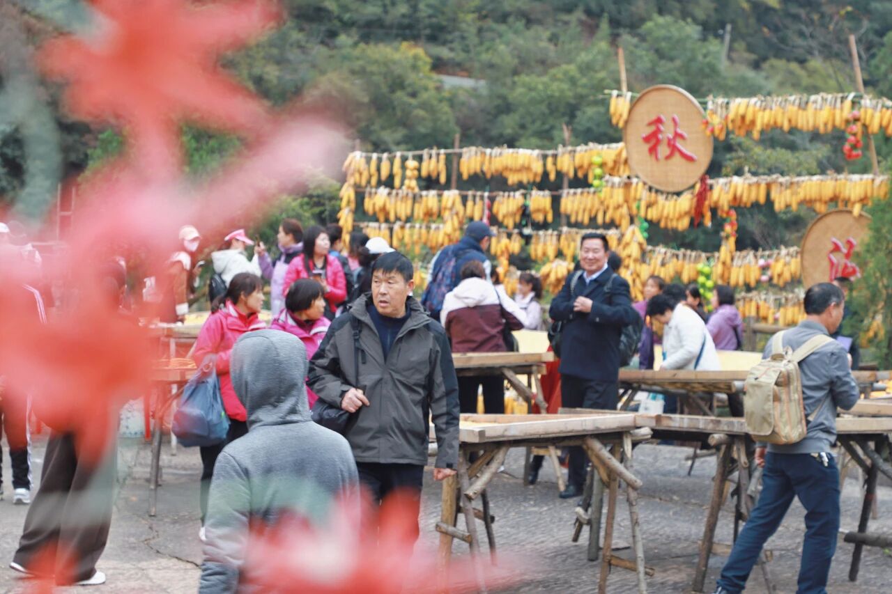 新乡齐王寨景区