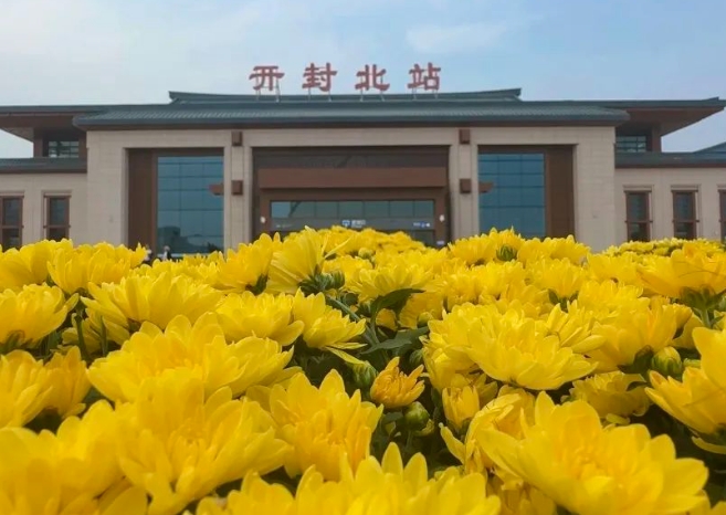 开封菊花展门票