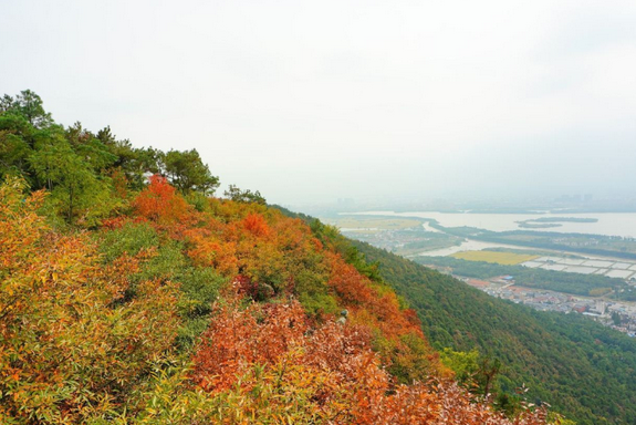 /uploads/image/2025/10/21/97aeb59beb63f5b40760e4ca965dc6ef.png /uploads/image/2025/10/21/97aeb59beb63f5b40760e4ca965dc6ef.png