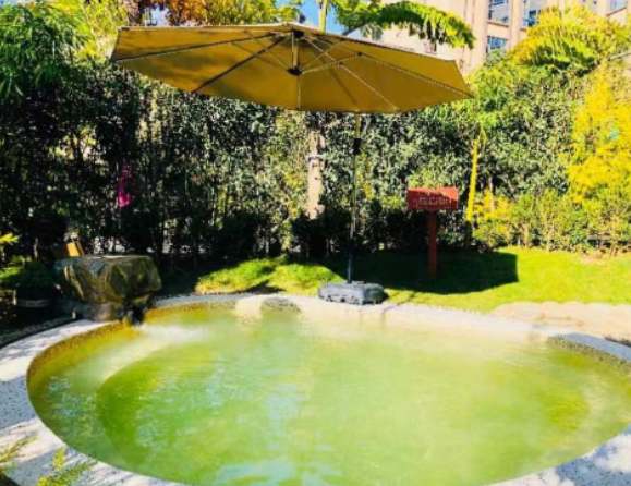 /uploads/image/2025/10/21/30fc1a4ceda83f919ae4d294ce2a0c00.png /uploads/image/2025/10/21/30fc1a4ceda83f919ae4d294ce2a0c00.png