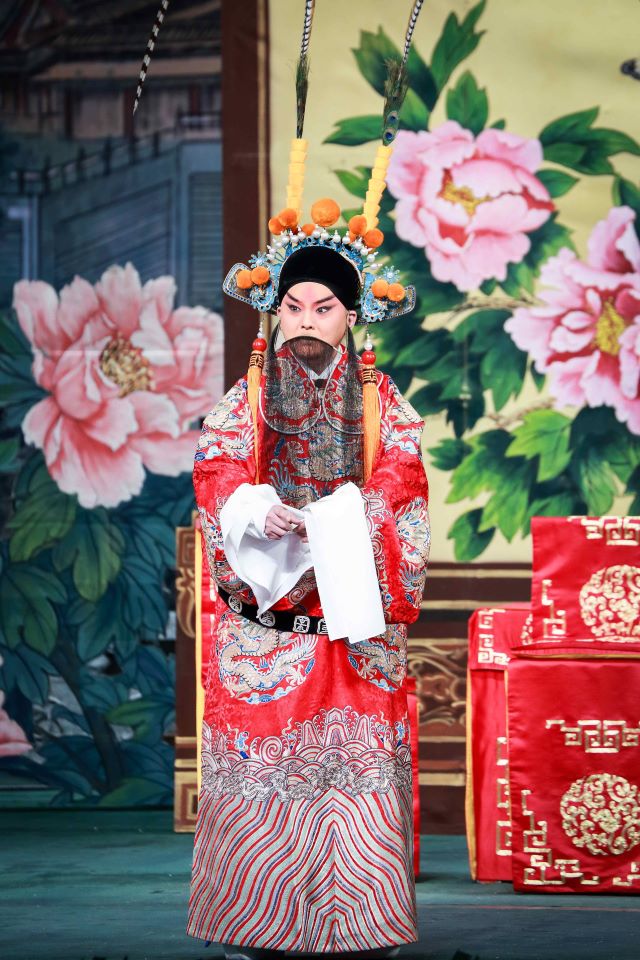 杨少彭2.jpg