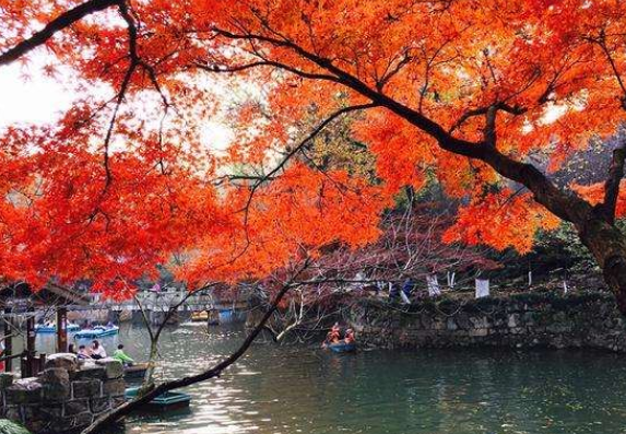 /uploads/image/2025/10/21/c2c4591881f831a4988d6c4c4e3cadb9.png /uploads/image/2025/10/21/c2c4591881f831a4988d6c4c4e3cadb9.png