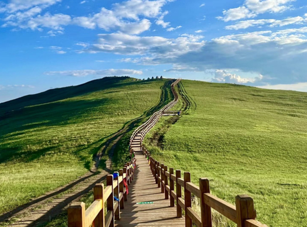 哈达门国家森林公园 哈达门国家森林公园