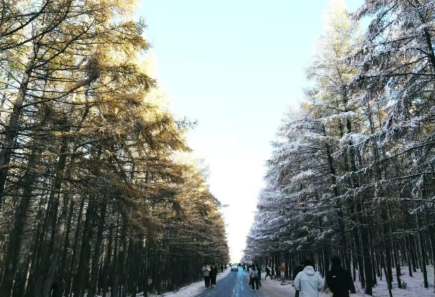 /uploads/image/2025/10/21/830807c720ec7f969ed683717ee86e83.png /uploads/image/2025/10/21/830807c720ec7f969ed683717ee86e83.png