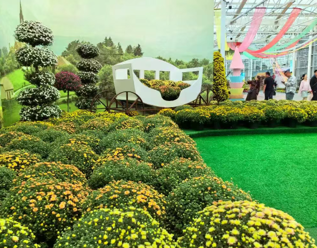 /uploads/image/2025/10/21/db43c4dd29ed571db761b1fd5538de5e.png /uploads/image/2025/10/21/db43c4dd29ed571db761b1fd5538de5e.png