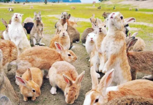 /uploads/image/2025/10/21/d6d1fcbe93465ee02349ba747ee67f10.png /uploads/image/2025/10/21/d6d1fcbe93465ee02349ba747ee67f10.png