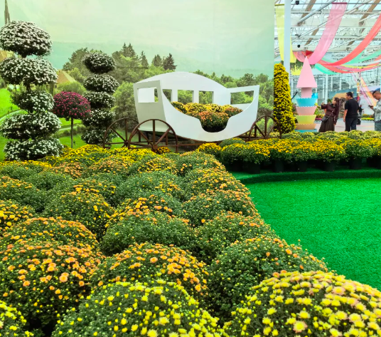 /uploads/image/2025/10/21/2044ad95c531999ff468476d069b4b92.png /uploads/image/2025/10/21/2044ad95c531999ff468476d069b4b92.png