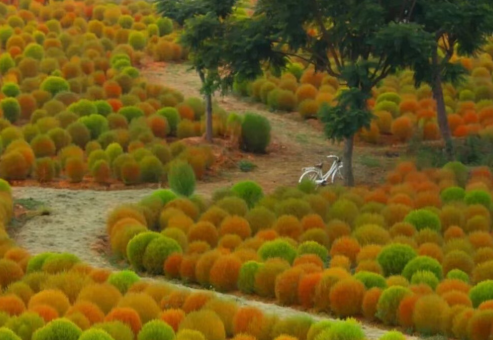 /uploads/image/2025/10/21/43ffb6cea2d701df5e8b293269f4f8aa.png